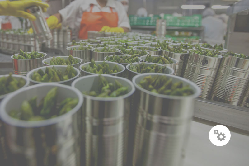 sector Agroindustrial